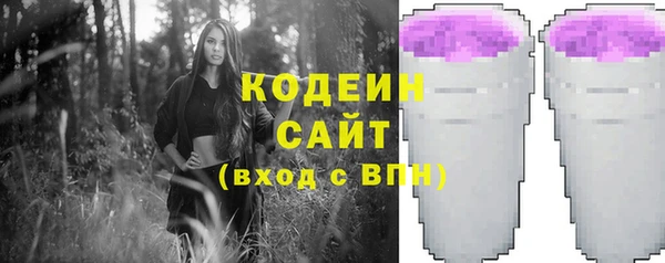 ECSTASY Инсар