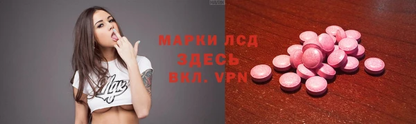ECSTASY Инсар