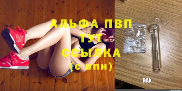 ECSTASY Инсар