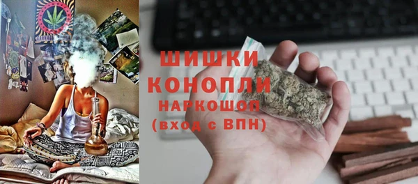 ECSTASY Инсар