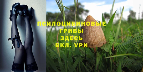 ECSTASY Инсар