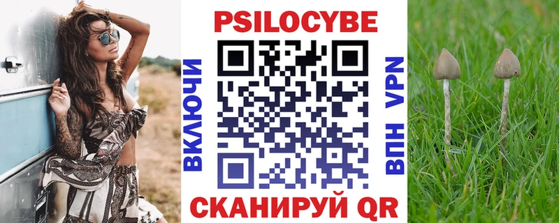Купить Георгиевск Псилоцибиновые грибы MAGIC MUSHROOMS